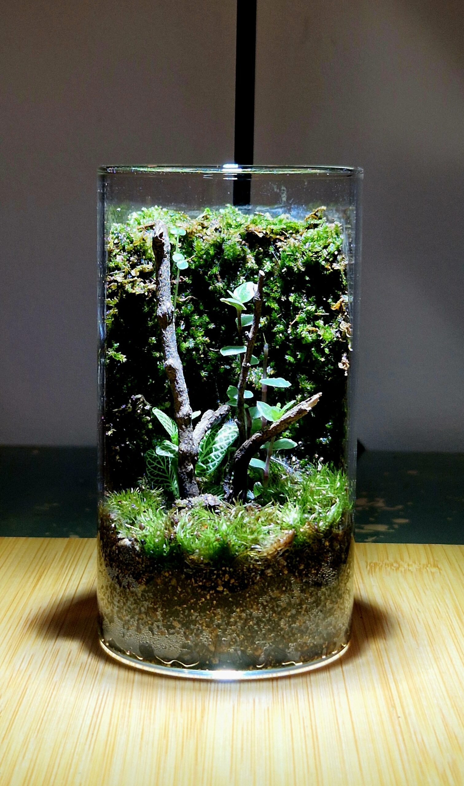 Fern Meadow 12x6