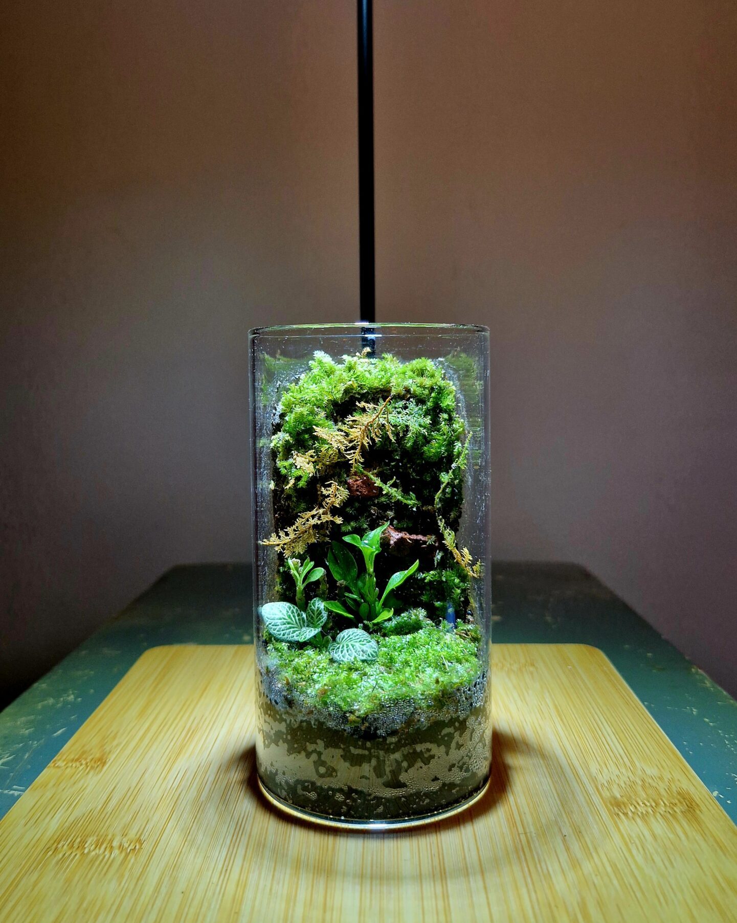 Fern Meadow 12x6