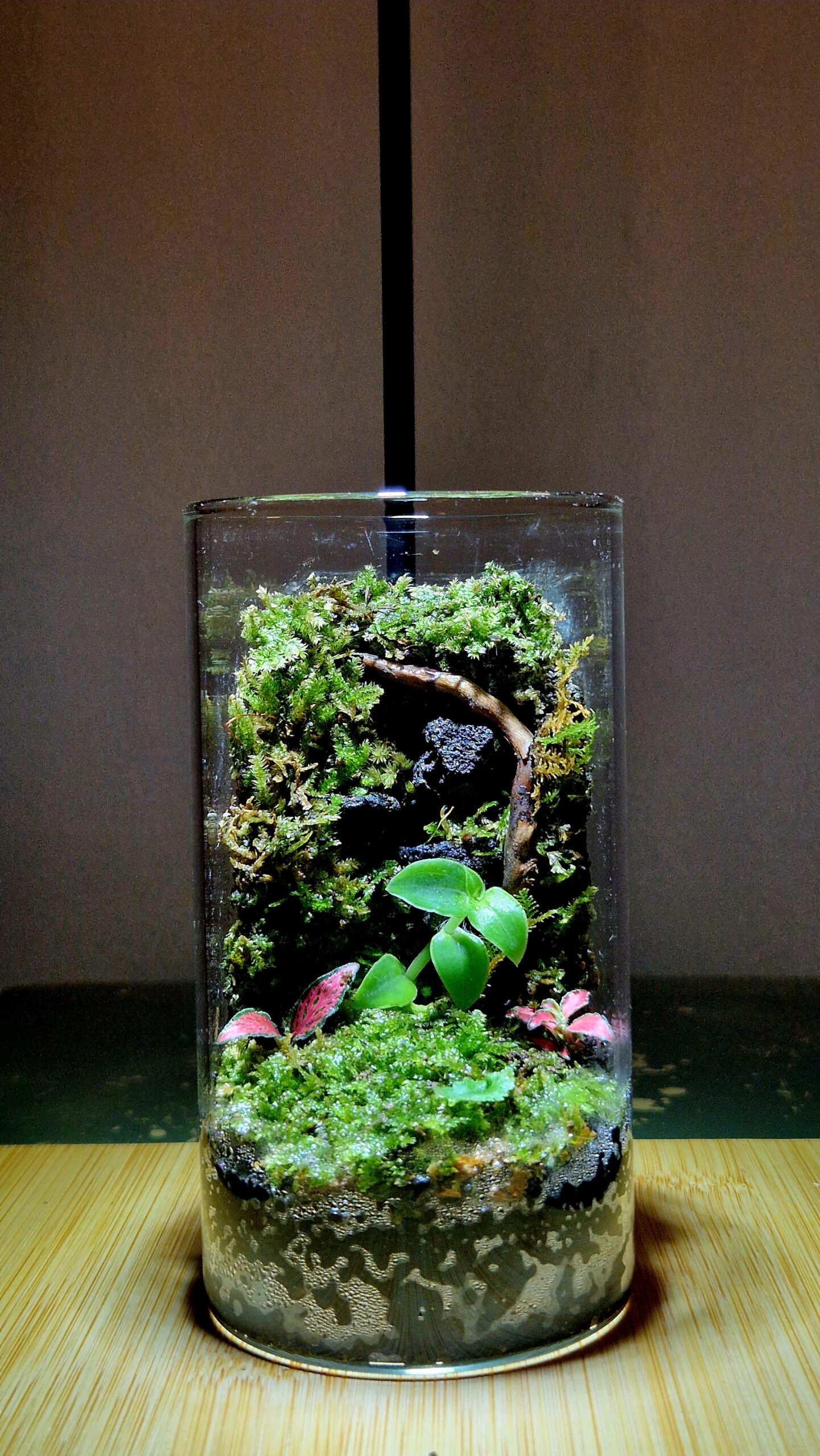 Fern Meadow 12x6