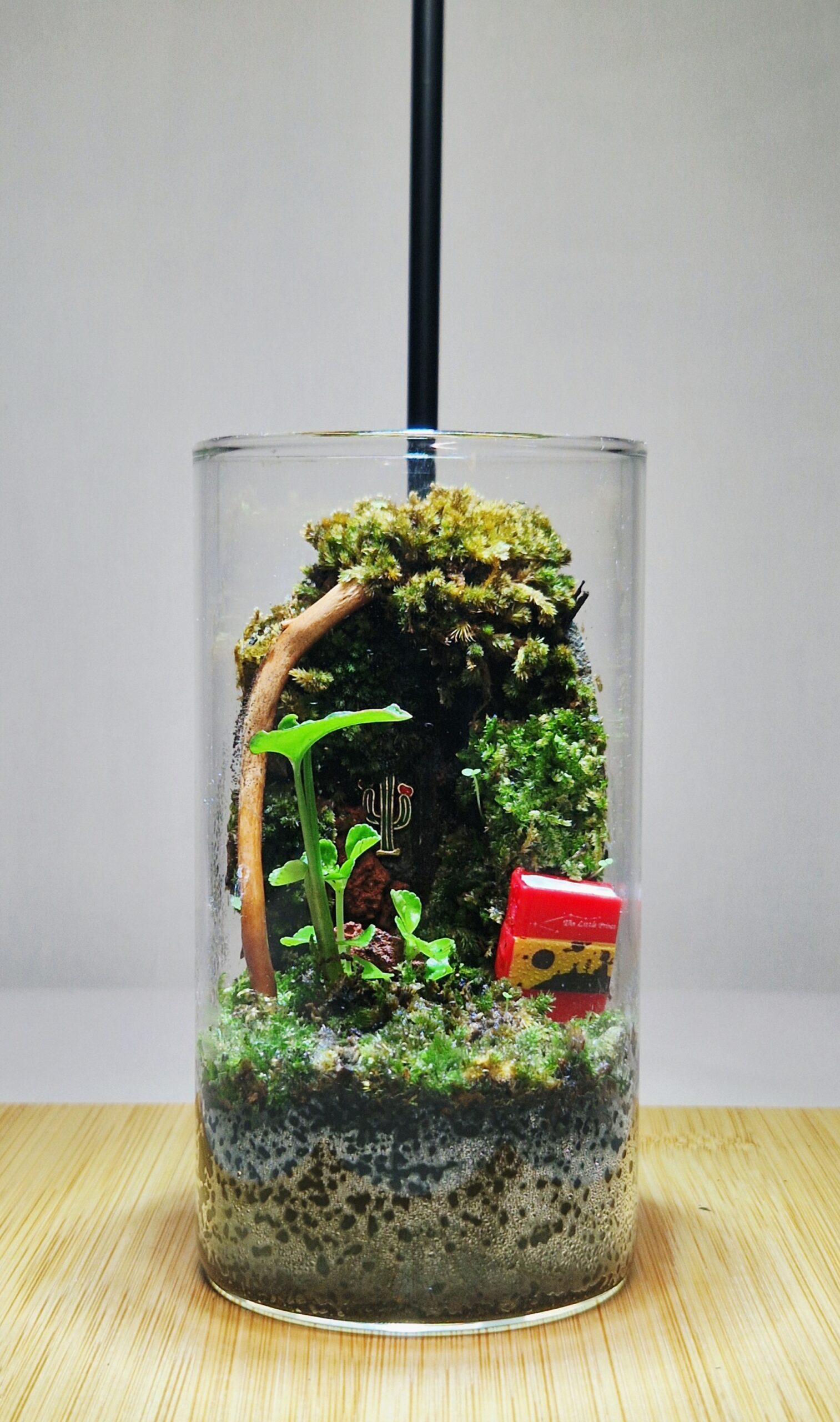 Secret Garden 12x6