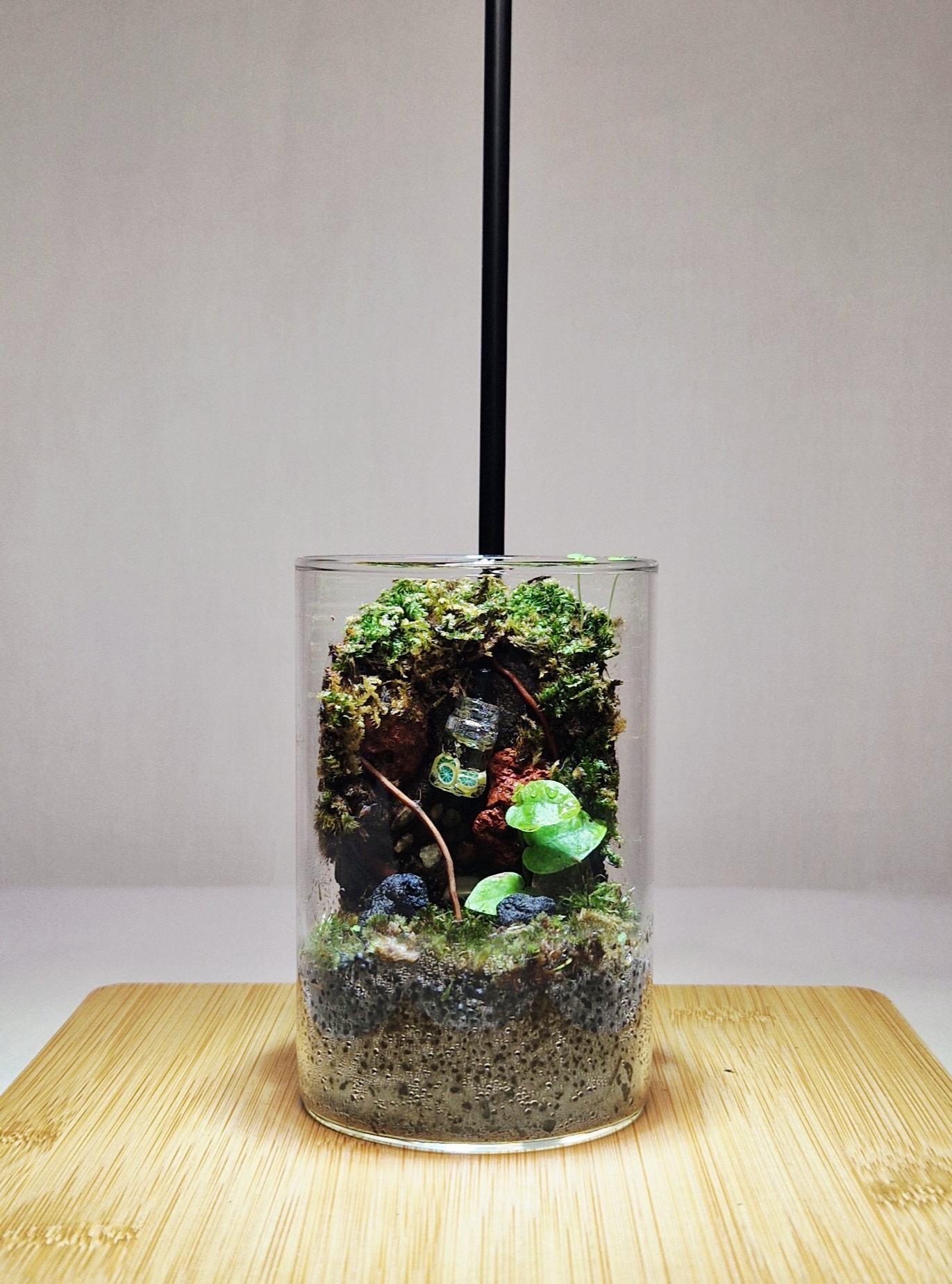 Secret Garden 12x6