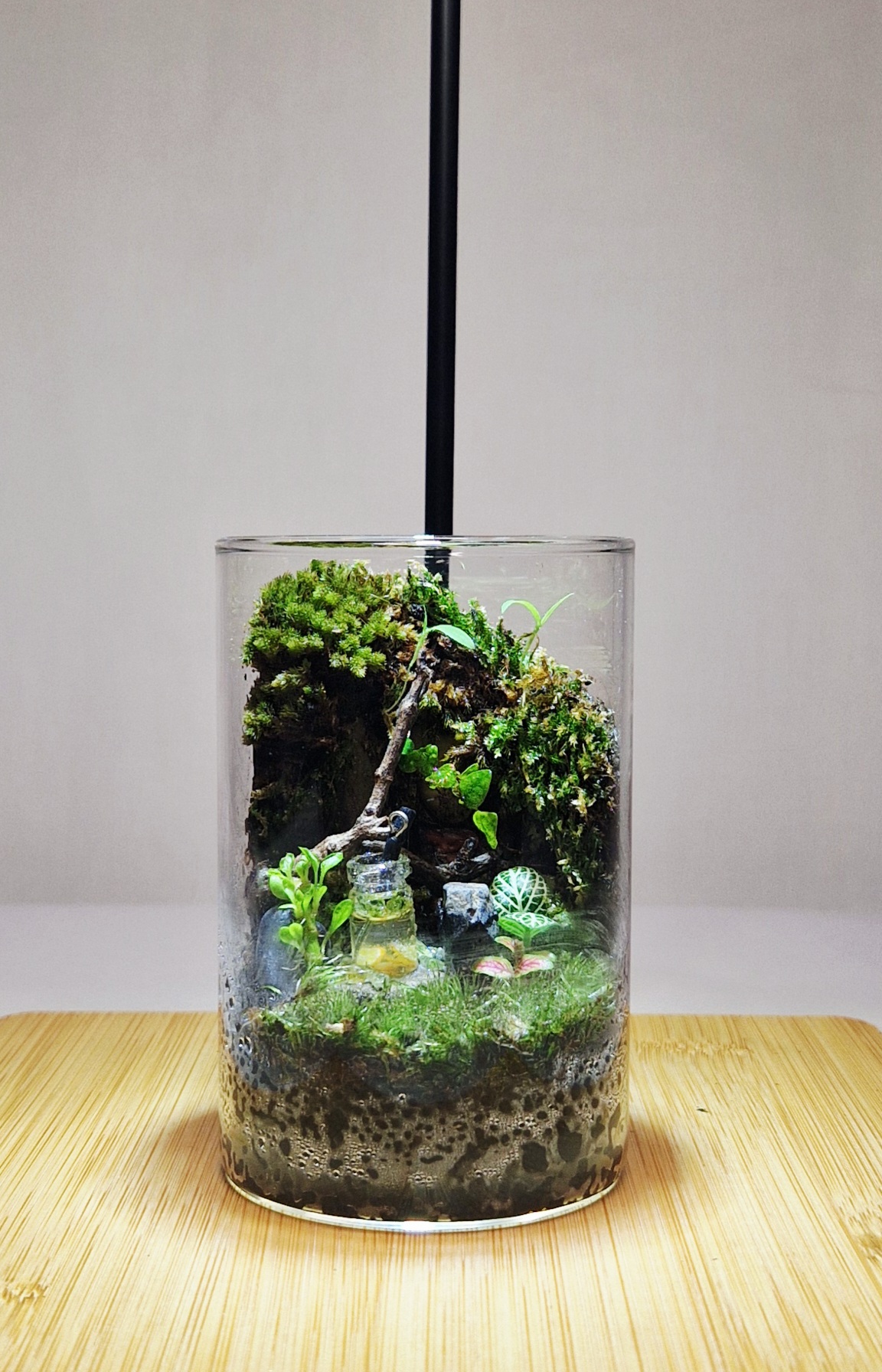 Secret Garden 12x6