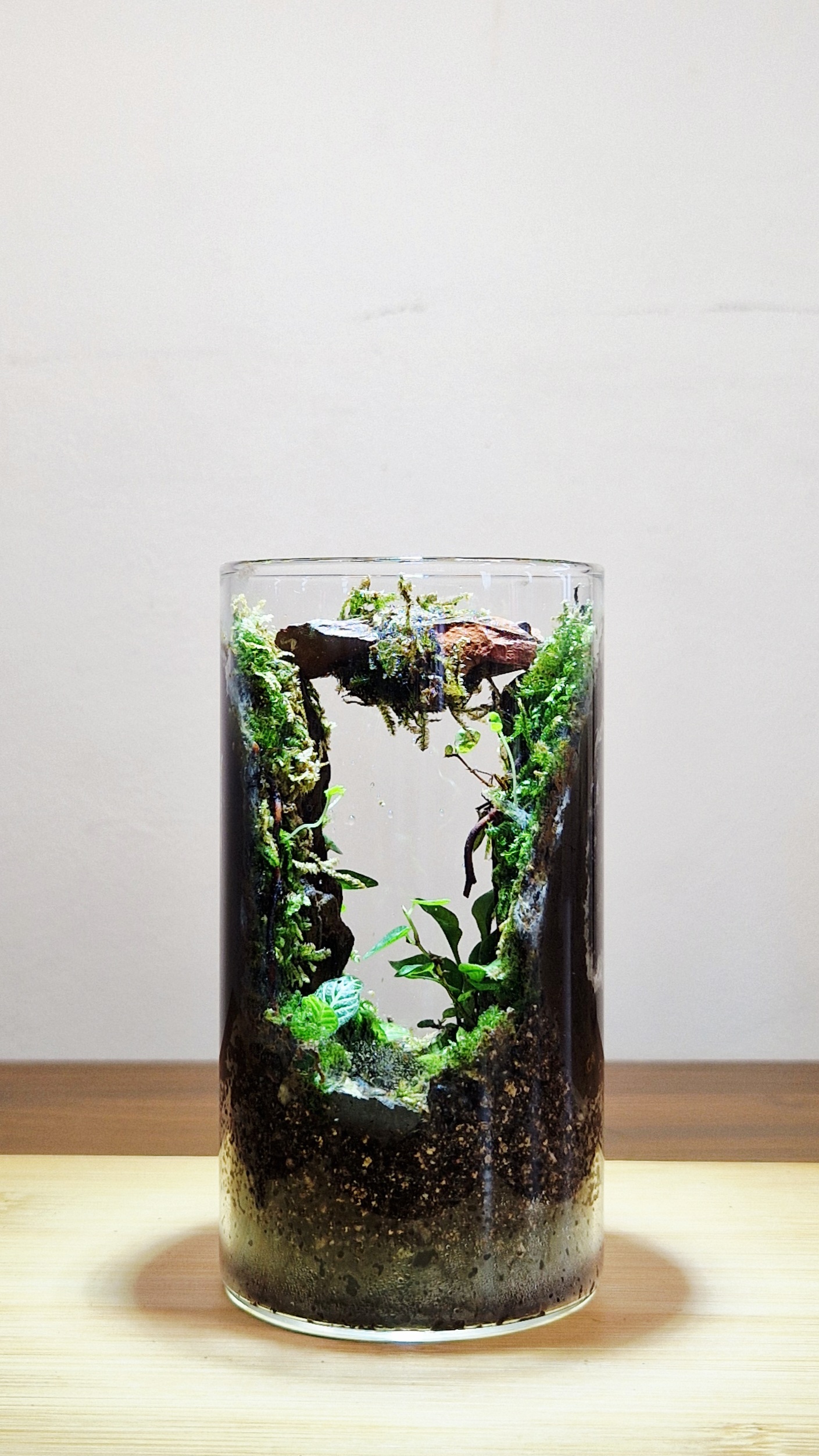 Hidden Gorge 12x6