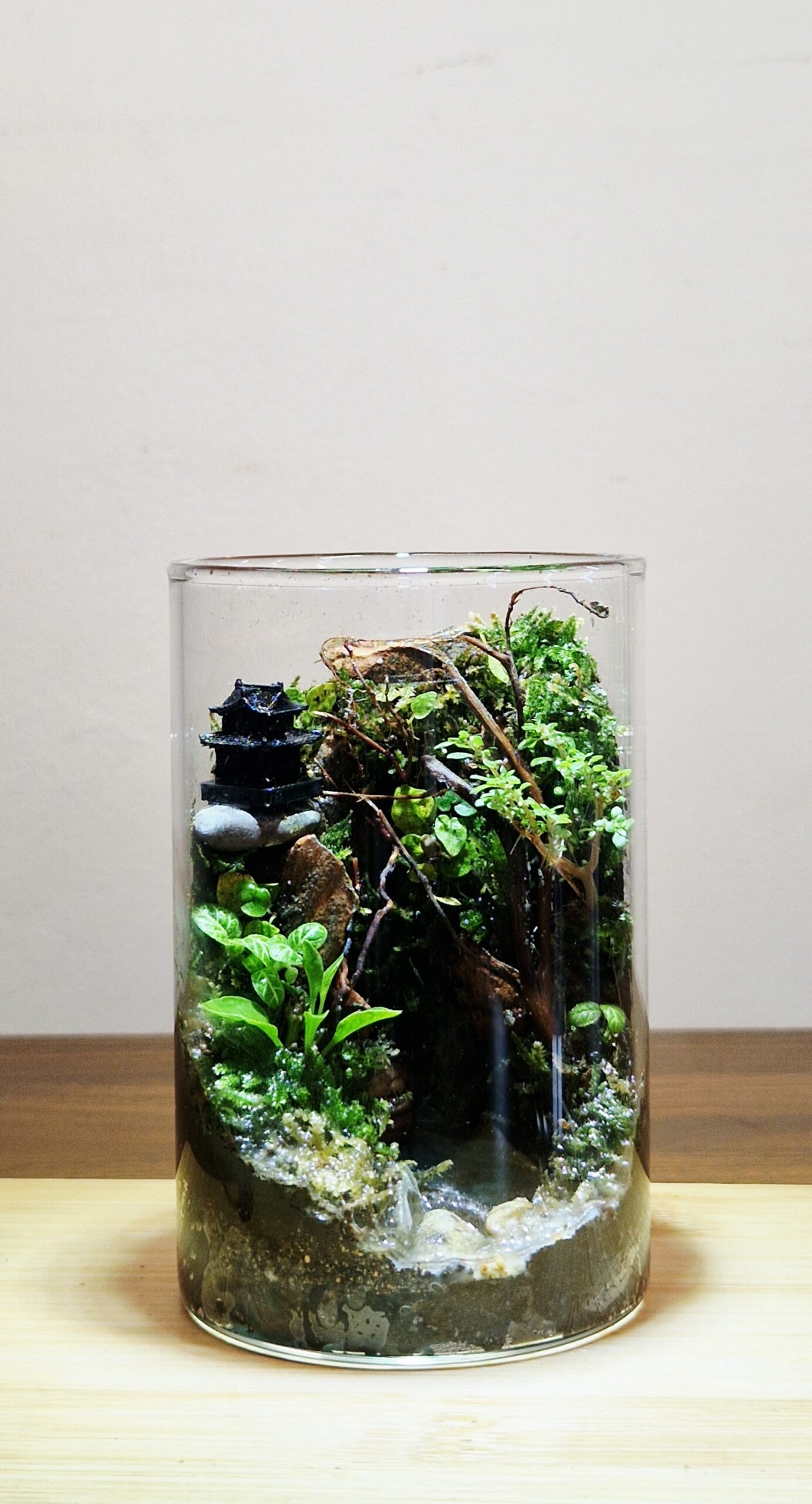 Hidden Gorge 10x6
