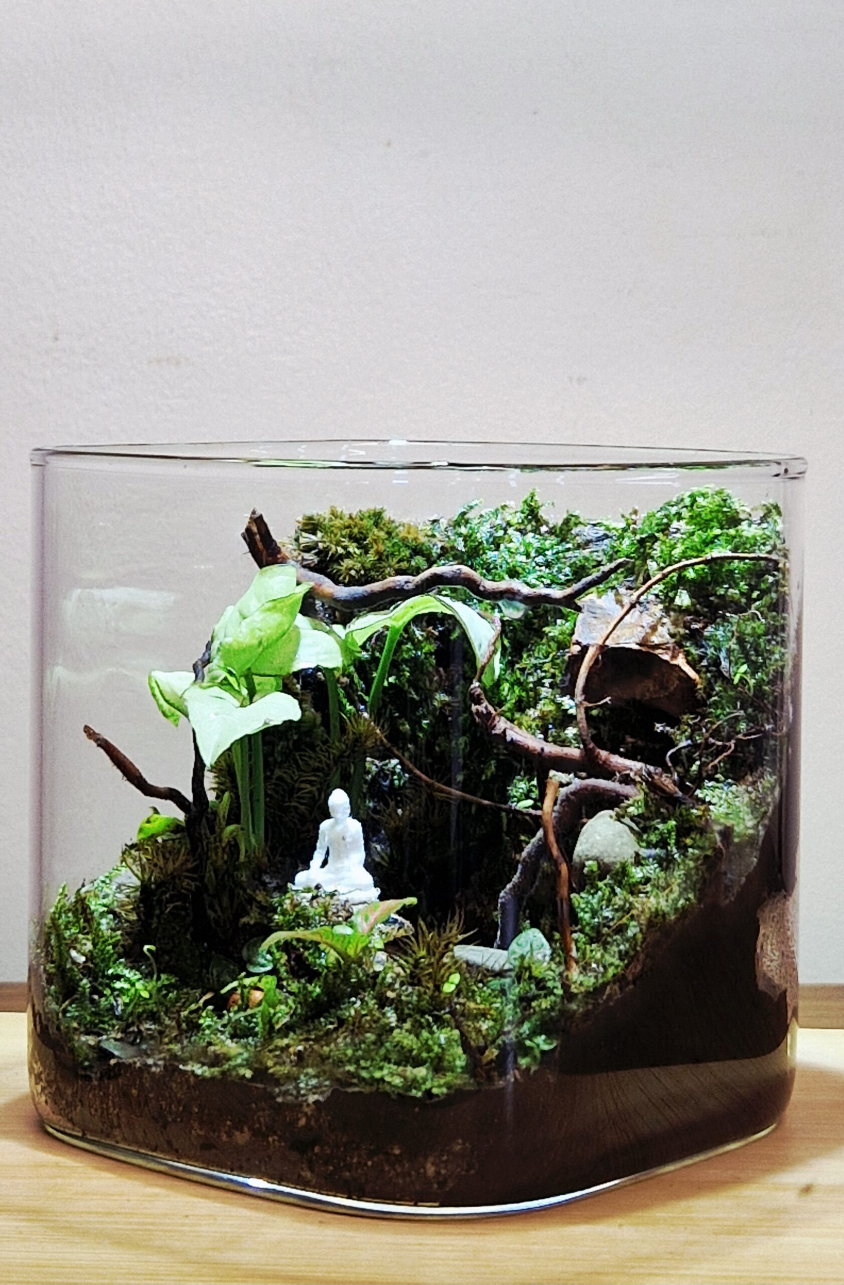 Hidden Gorge 10x10