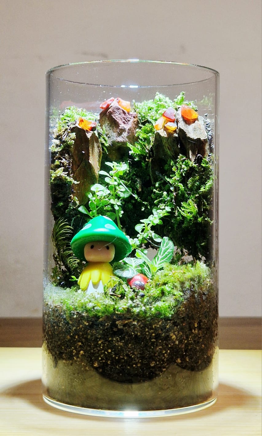 Mosswood Hollow 12x6