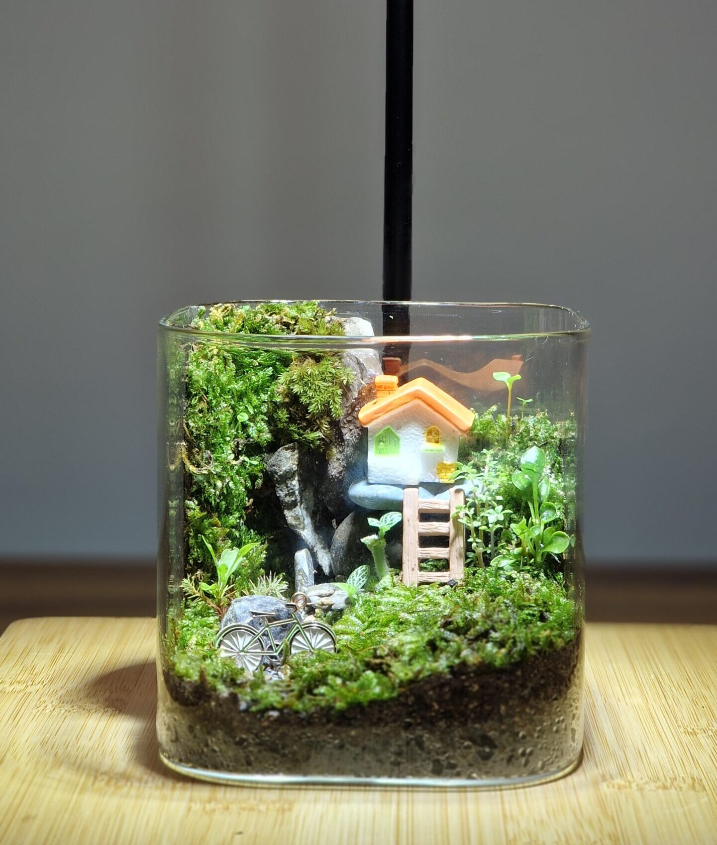 Woodland Cottage 10x10